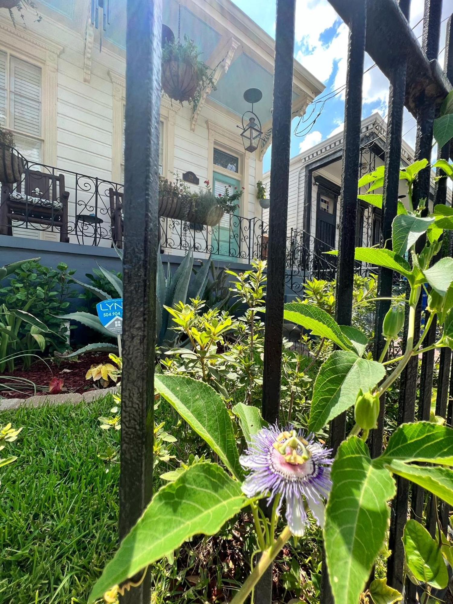 Luxury Historic Shotgun Home In Lower Garden District Nova Orleães Exterior foto